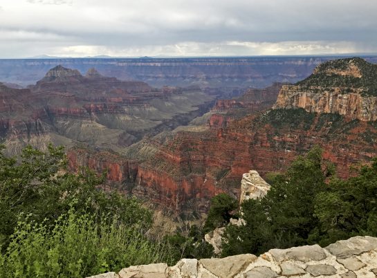 View from the North Rim of the Grand Canyon