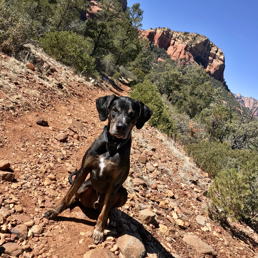 Brinn's Mesa Trail, Arizona