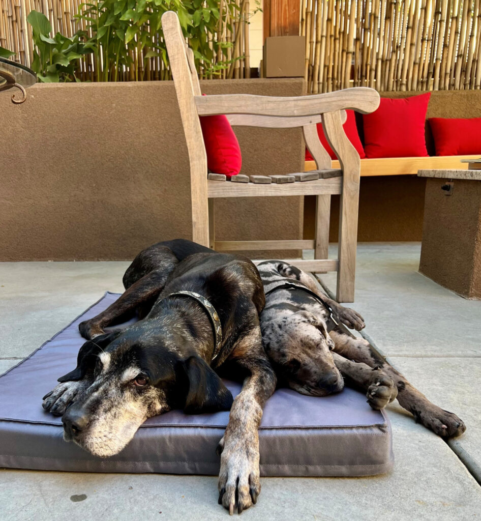 This image has an empty alt attribute; its file name is 04-2-1892x2048.jpg